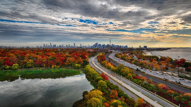 Des arbres aux couleurs d'automne et la ville de Toronto à l'horizon.