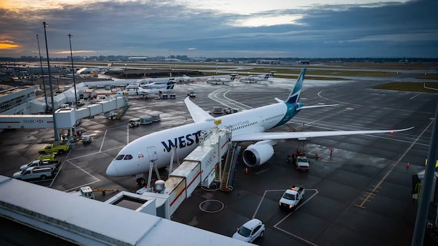 WestJet currently flies once a day in each direction between Toronto and Montreal.