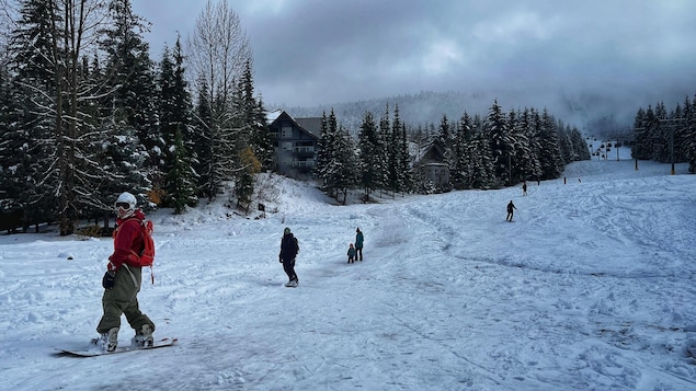Des skieurs et des planchistes sur la neige.