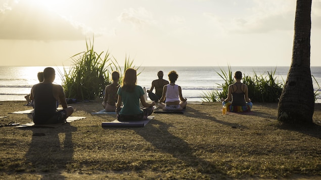 Un cours de groupe de yoga au bord d'un lac Un cours de groupe de yoga au bord d'un lac
