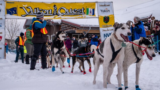 Après une année sans Yukon Quest, la ligne d’arrivée est franchie en 2022