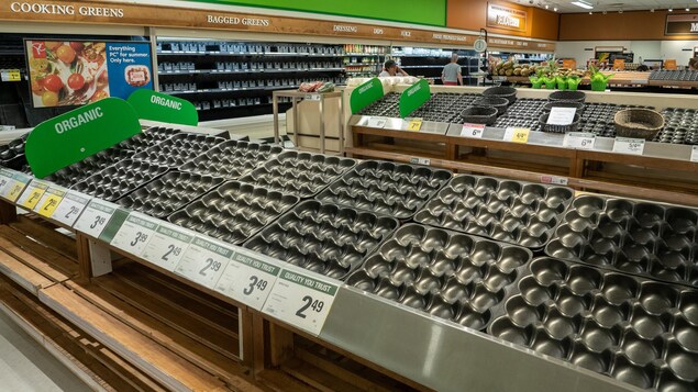 Au Yukon, la route de l’Alaska est rouverte, l’épicerie s’en vient