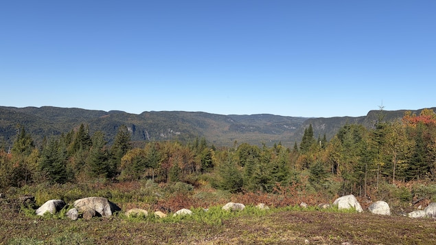 Plan large sur un paysage forestier, au début de l'automne, sous un ciel sans aucun nuage. 