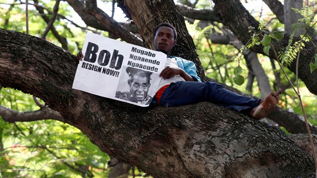 Un Zimbabwéen tient une affiche qui demande la démission immédiate de Robert Mugabe. Un Zimbabwéen tient une affiche qui demande la démission immédiate de Robert Mugabe.