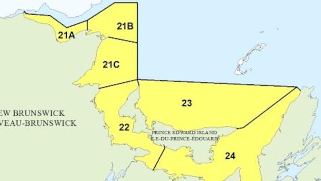 Zones de pêche de pétoncles dans le sud du golfe du Saint-Laurent