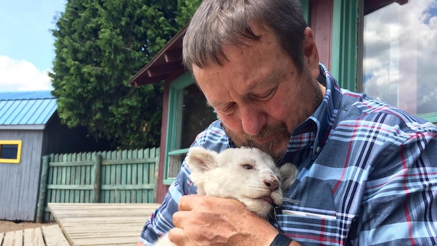 Le propriétaire du Zoo de Saint-Édouard-de-Maskinongé, Normand Trahan, avec un bébé lion blanc.