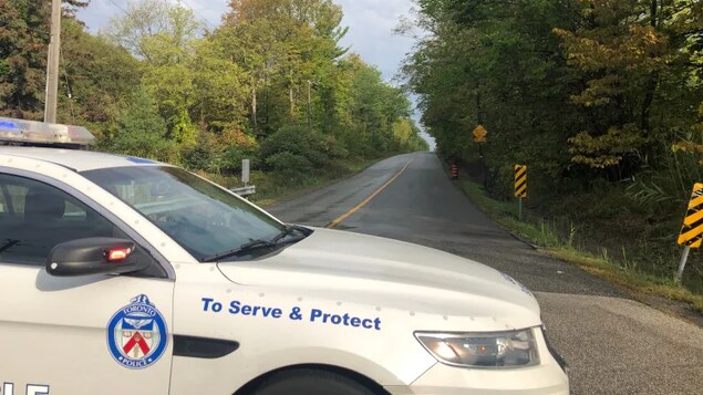 Un corps en feu retrouvé près du zoo de Toronto