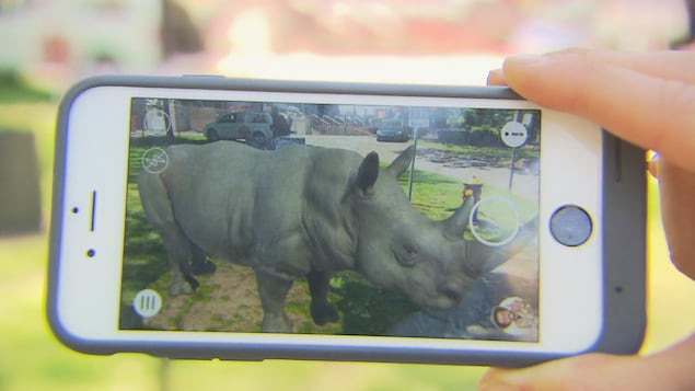 Un rhinocéros virtuel sur un téléphone intelligent.