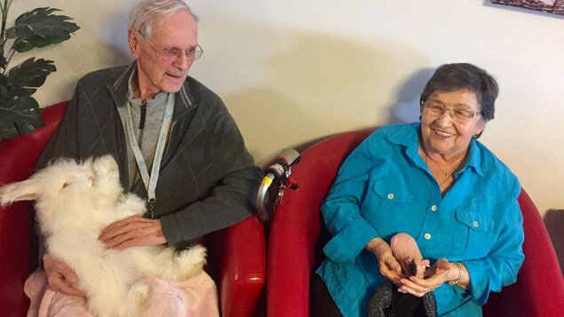 Raymond Blais et Georgette Lambert forment un couple qui habite la Résidence Memphrémagog. Ils tiennent dans leurs mains Flocon, un lapin et Gollum, un cochon d'Inde imberbe. Raymond Blais et Georgette Lambert forment un couple qui habite la Résidence Memphrémagog. Ils tiennent dans leurs mains Flocon, un lapin et Gollum, un cochon d'Inde imberbe.