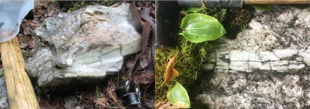 Le secteur démontrerait un potentiel évident de spodumène, principal minerai de lithium. Le secteur démontrerait un potentiel évident de spodumène, principal minerai de lithium.