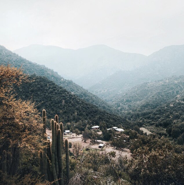 Paysage de cactus et de montagnes à La Dehesa, dans la région de Metropolitana au Chili.