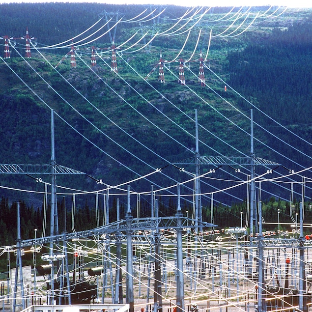 Des fils et des pylônes électriques au milieu d'une forêt.