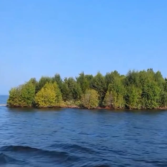 Un amas de terre recouvert d'arbres flotte sur l'eau.