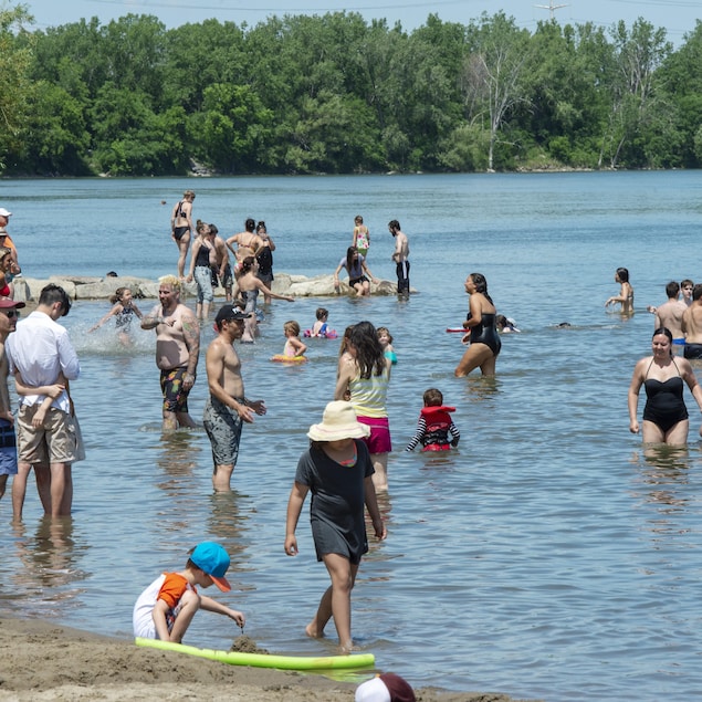 Des baigneurs de tous les âges dans l'eau.