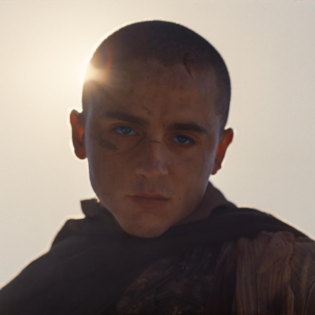 Un jeune homme au crâne rasé regarde devant lui, éclairé par la lumière du soleil. 