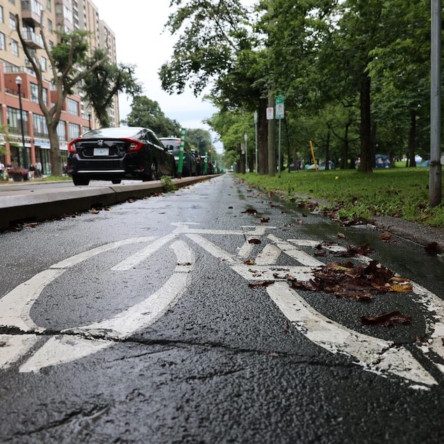 Une photo prise au niveau du sol d'un pictogramme de vélo peint sur une piste cyclable, séparée de la circulation automobile par du béton et bordée d'un parc de l'autre côté.