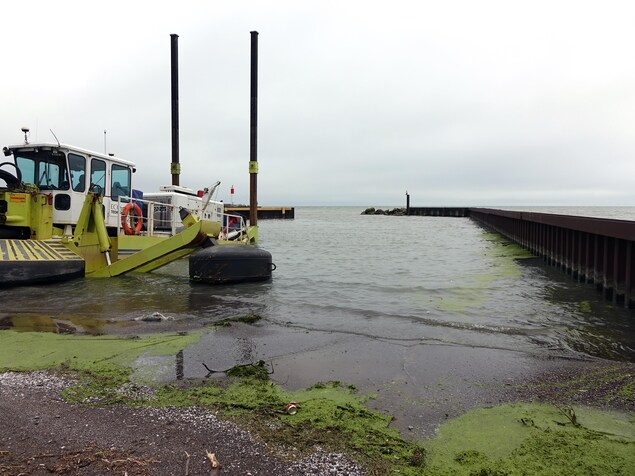 On voit des algues de couleur verte sur la rive du lac Érié. Plus loin, on voit un bateau à quai. Le ciel est nuageux. On voit des algues de couleur verte sur la rive du lac Érié. Plus loin, on voit un bateau à quai. Le ciel est nuageux.