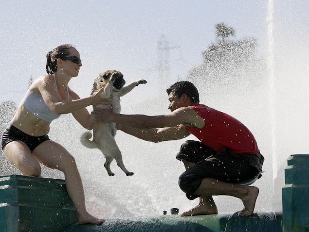 Deux adultes et un chien dans une fontaine publique. Deux adultes et un chien dans une fontaine publique.