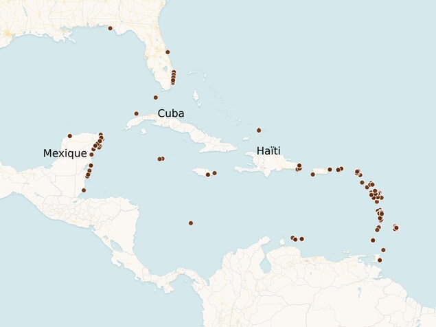 Une carte indiquant les plages où des sargasses ont été rapportées. Une carte indiquant les plages où des sargasses ont été rapportées.