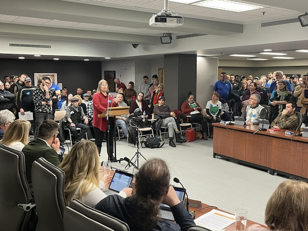 Plusieurs dizaines de citoyens se sont présentés à la réunion du conseil municipal de Rouyn-Noranda où le dossier de la Fonderie Horne est revenu dans le débat.  