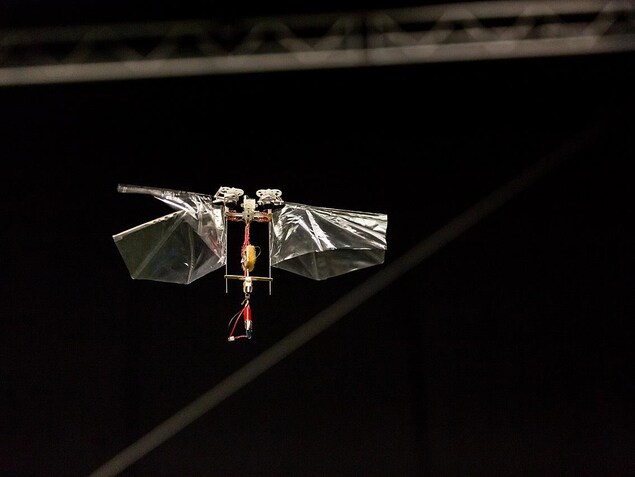 Le DelFly Nimble. Le DelFly Nimble.