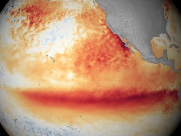 Satellite sea surface temperature departure in the Pacific Ocean for the month of October 2015, where darker orange-red colours are above normal temperatures and are indicative of El Niño. (NOAA)
