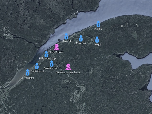Carte représentant les genres de directeurs généraux des principales villes du Bas-Saint-Laurent Carte représentant les genres de directeurs généraux des principales villes du Bas-Saint-Laurent