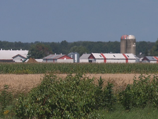 Une ferme à Sainte-Brigitte-des-Saults avec des silos et des champs.