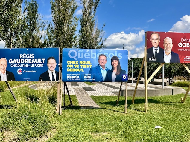 Trois pancartes électorales dans un parc en été.