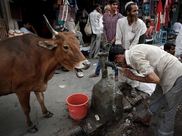 Un homme boit de l'eau d'un robinet public. Un homme boit de l'eau d'un robinet public.