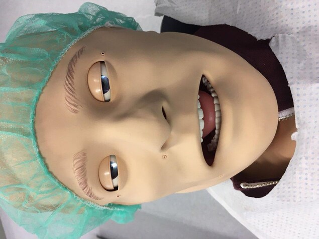 La tête du mannequin. La tête du mannequin.