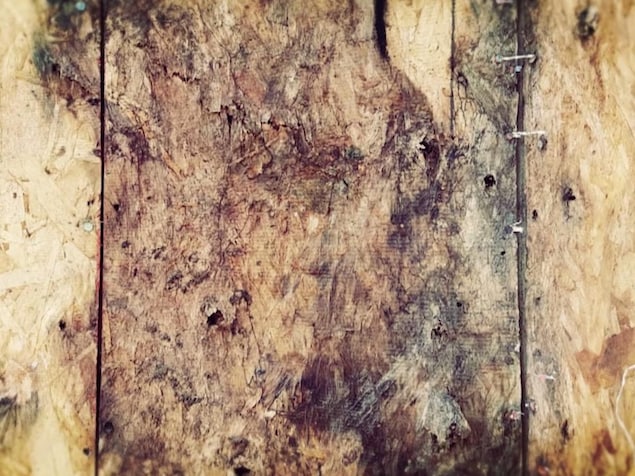 Des traces noires sur le bois. Des traces noires sur le bois.