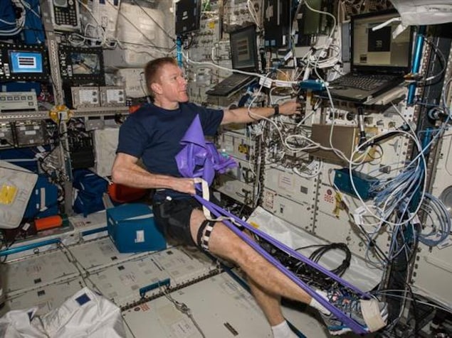 L’astronaute britannique Tim Peake a subi une échographie de la jambe en mai 2016 afin de collecter des données dans le cadre de l’étude Vascular Echo, la deuxième phase de l’expérience. L’astronaute britannique Tim Peake a subi une échographie de la jambe en mai 2016 afin de collecter des données dans le cadre de l’étude Vascular Echo, la deuxième phase de l’expérience.