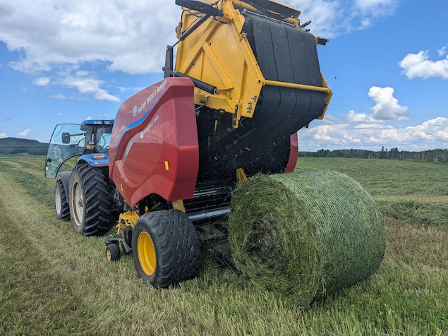 Une balle de foin est extraite de la presse pour être laissée dans le champ.