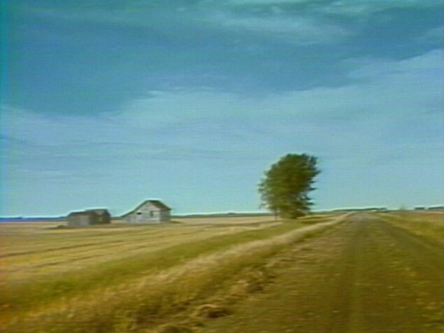 Un grand ciel bleu et une petite route de campagne qui passe à côté d'un arbre et d'une petite maison. Un grand ciel bleu et une petite route de campagne qui passe à côté d'un arbre et d'une petite maison.