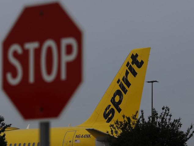 Un avion de la compagnie Spirit Airlines est stationné.