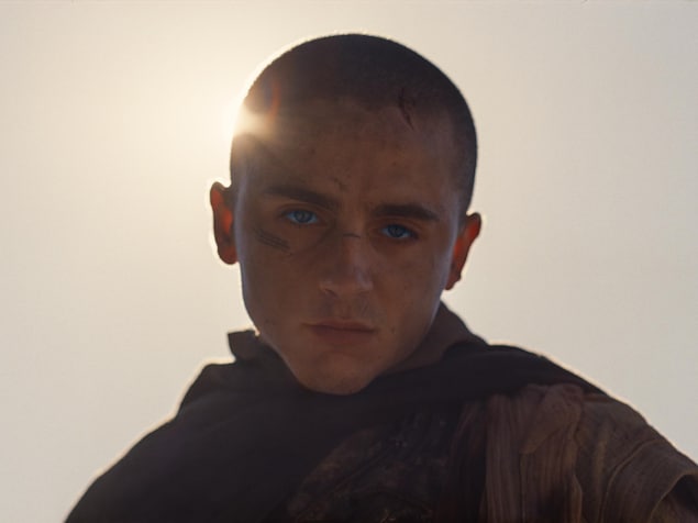 Un jeune homme au crâne rasé regarde devant lui, éclairé par la lumière du soleil.