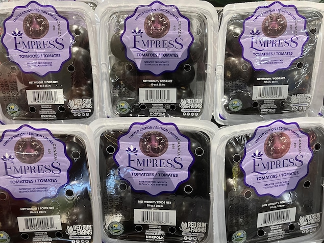 Une barquette de tomates violettes.