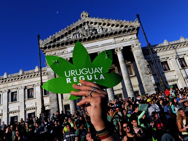 Quelqu'un brandit un carto vert en forme de feuille de cannabis sur lequel est écrit : Uruguay régule. Quelqu'un brandit un carto vert en forme de feuille de cannabis sur lequel est écrit : Uruguay régule.
