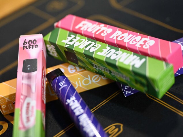 elfbar nachfüll pod läuft aus Cigarette électronique : combien ça coûte par an,quelles économies ?