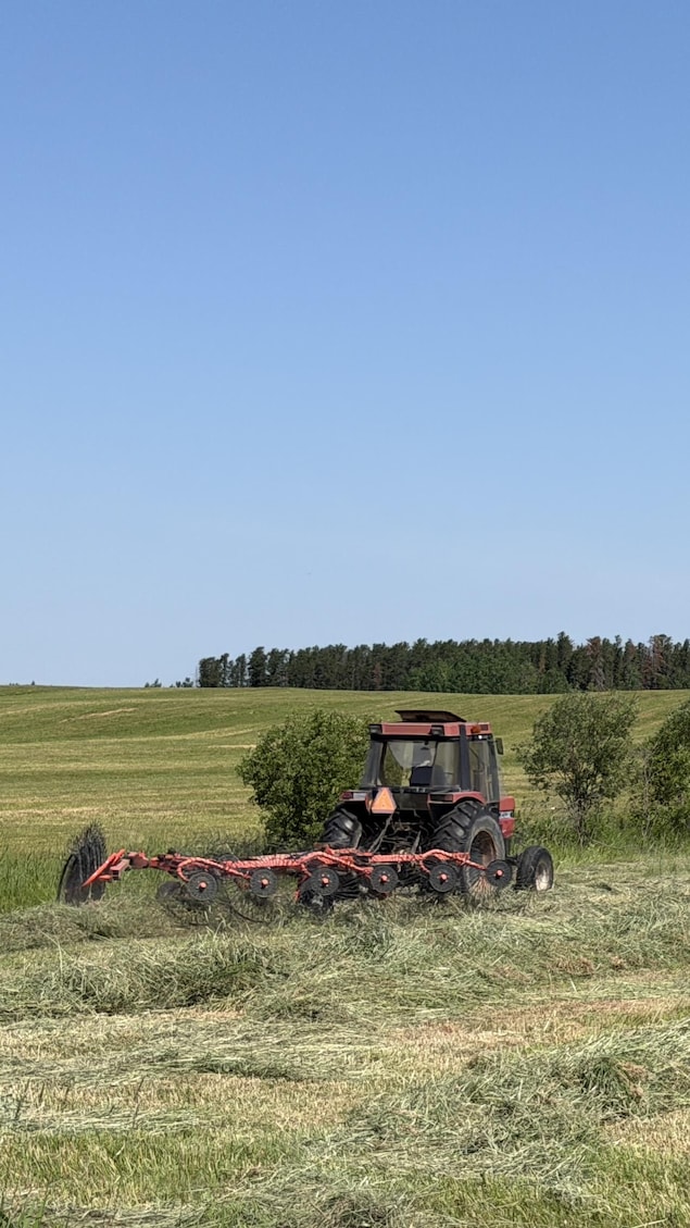 Un tracteur en train de labourer dans un champ.