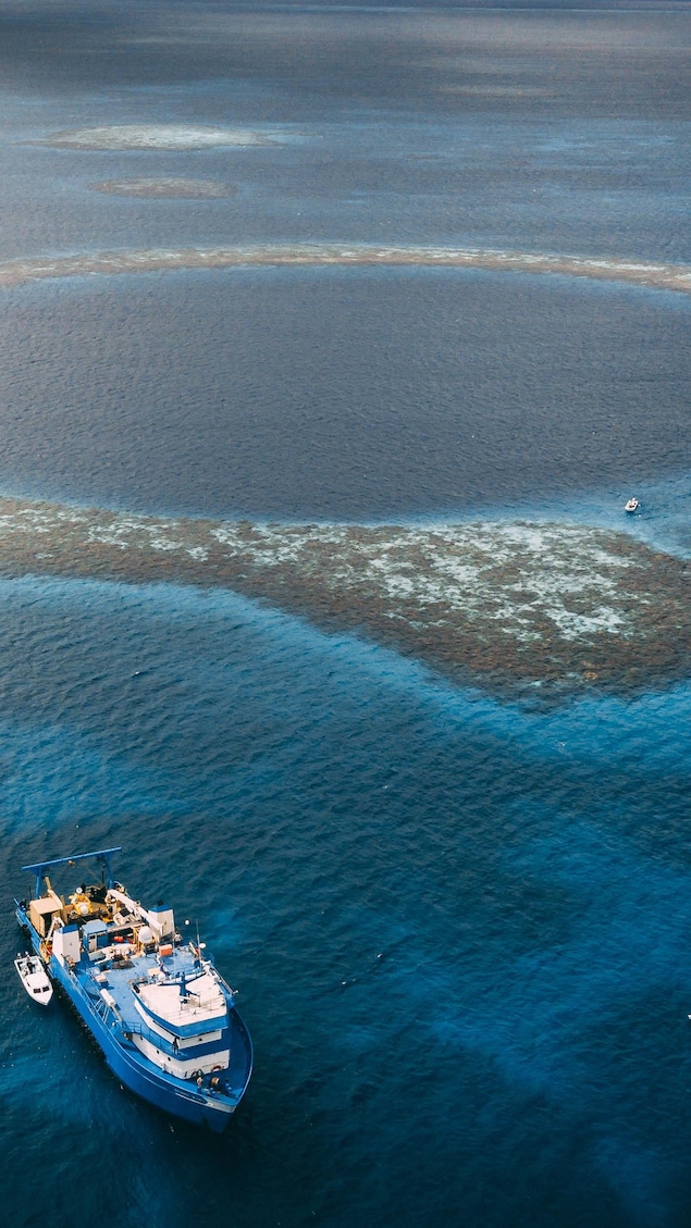 Vue du ciel de la barrière de récif qui forme un cercle de rochers et de sable.