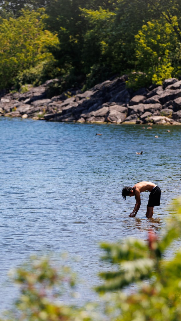 Une personne tente de se rafraîchir dans l’eau à la promenade Lakefront de Mississauga, en Ontario, le mardi 14 juillet 2026.