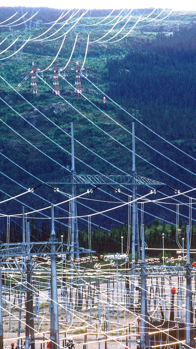 Des fils et des pylônes électriques au milieu d'une forêt.