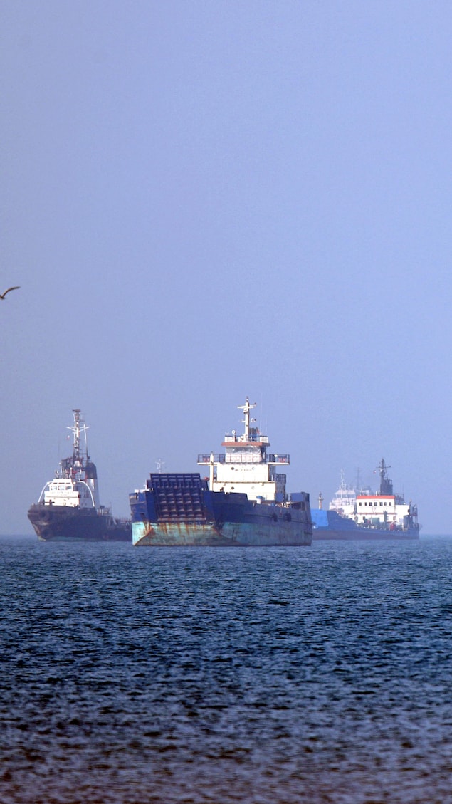 Des navires ancrés dans la mer attendent.