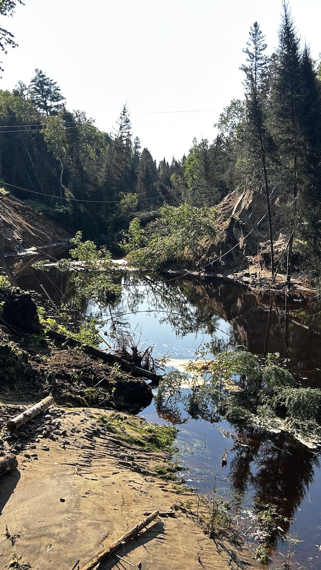Des arbres et poteaux électriques tombés, dans une cravasse causée par la montée du niveau d'un ruisseau.