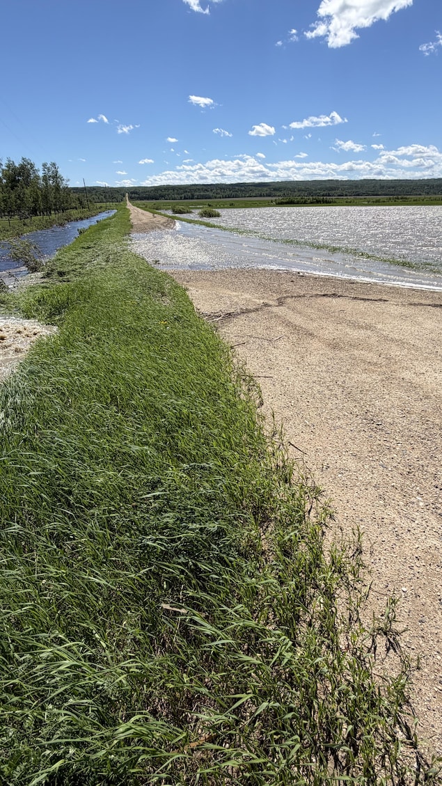 Une image près de l'autoroute 10 à l'est de Minitonas.