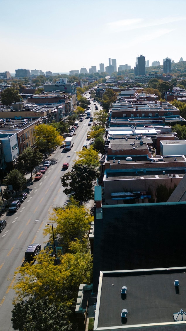 Des immeubles à Montréal, avec le mont Royal en arrière-plan.