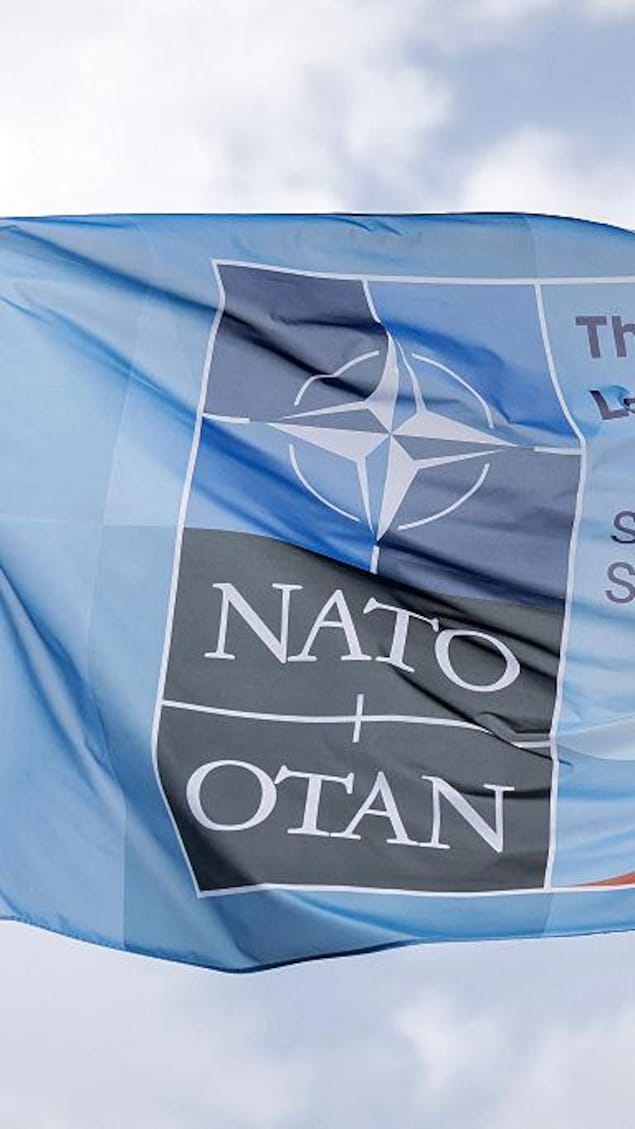 This photograph shows a flag representing the top of NATO two days.
