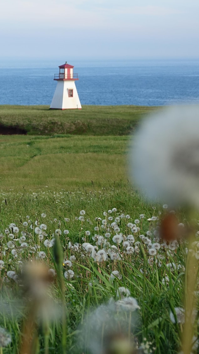 Le phare de Julie Snyder devient la propriété des Madelinots | En bref ...